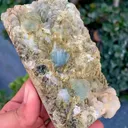 specimen video