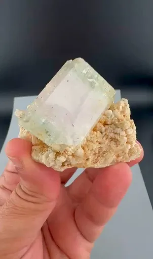 specimen video