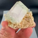specimen video