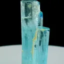 specimen video