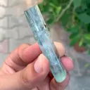 specimen video