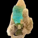 specimen video