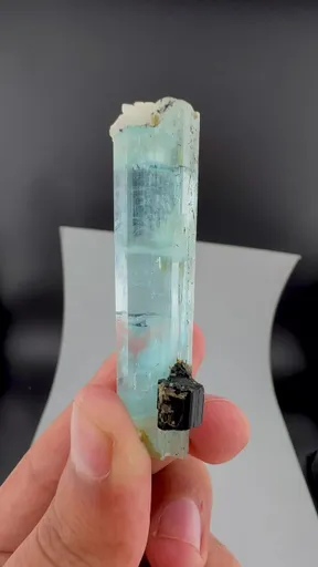 specimen video
