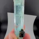 specimen video