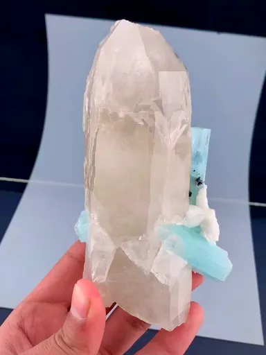 specimen video