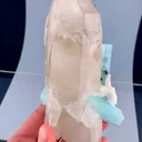 specimen video