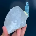 specimen video