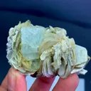 specimen video