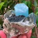 specimen video