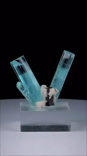 specimen video