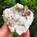 specimen video