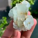 specimen video