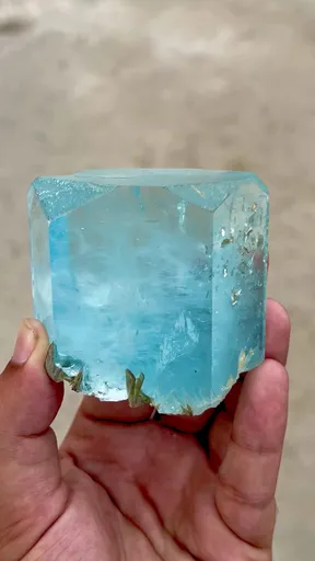 specimen video