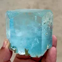 specimen video