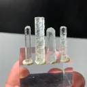 specimen video