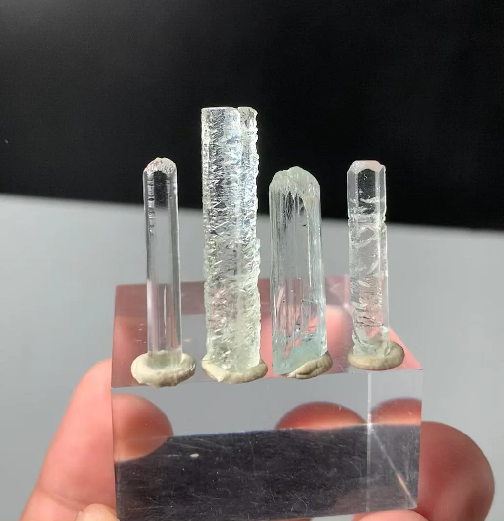 specimen video
