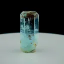 specimen video