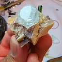 specimen video