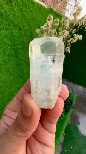 specimen video