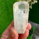 specimen video