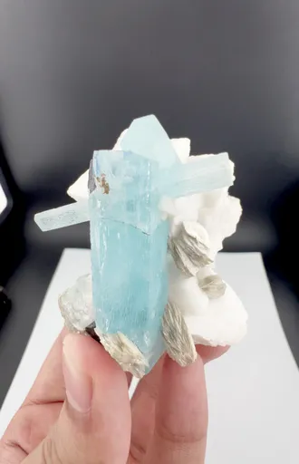 specimen video