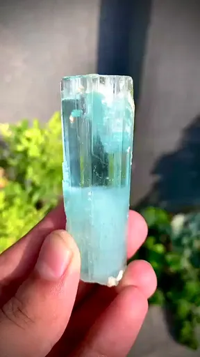 specimen video