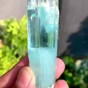 specimen video