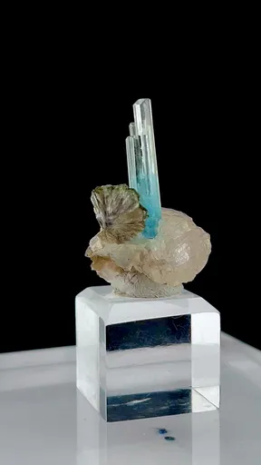 specimen video