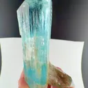 specimen video