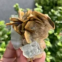Aquamarine from Pakistan - image 8