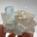 specimen video