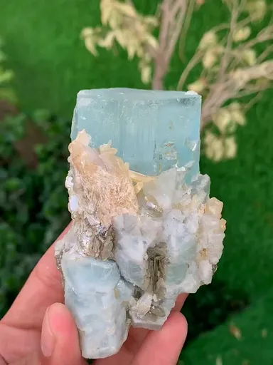 specimen video