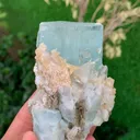 specimen video