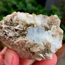specimen video