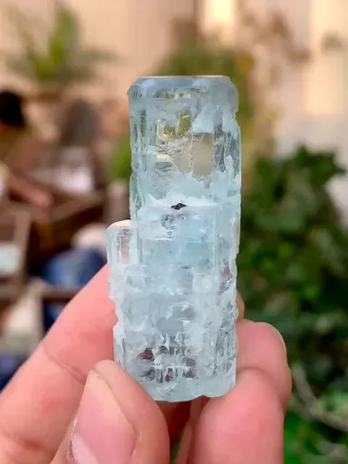 specimen video