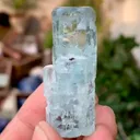 specimen video