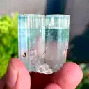 specimen video