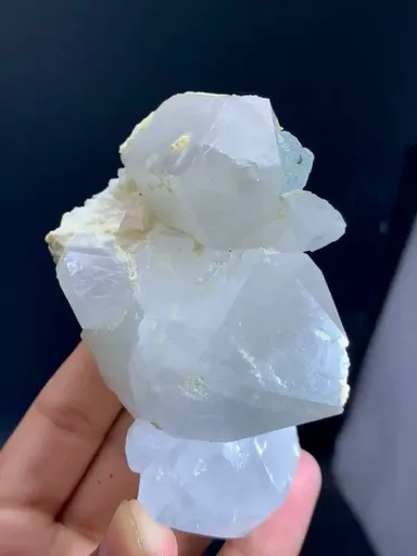 specimen video