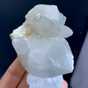 specimen video