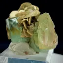 Aquamarine from Pakistan - image 3