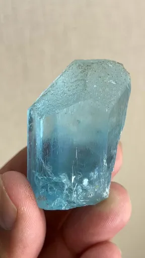 specimen video