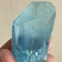 specimen video