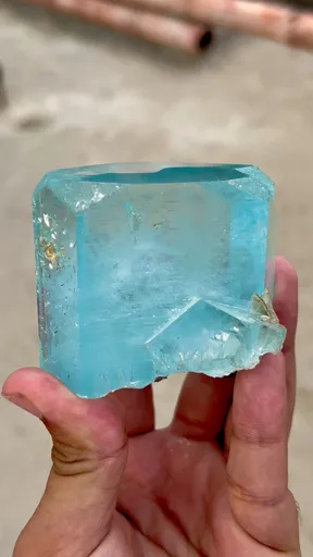specimen video