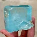 specimen video