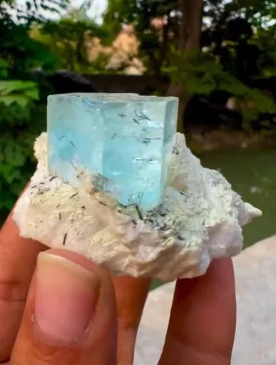 specimen video