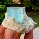 specimen video