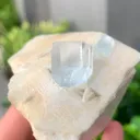 specimen video