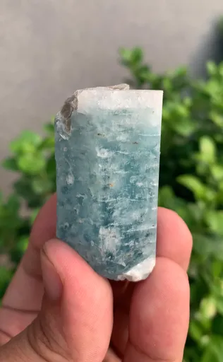 specimen video