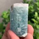 specimen video