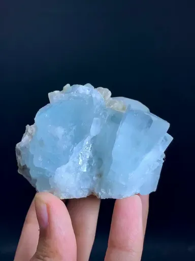specimen video